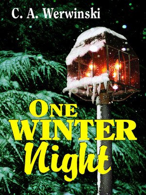 cover image of One Winter Night